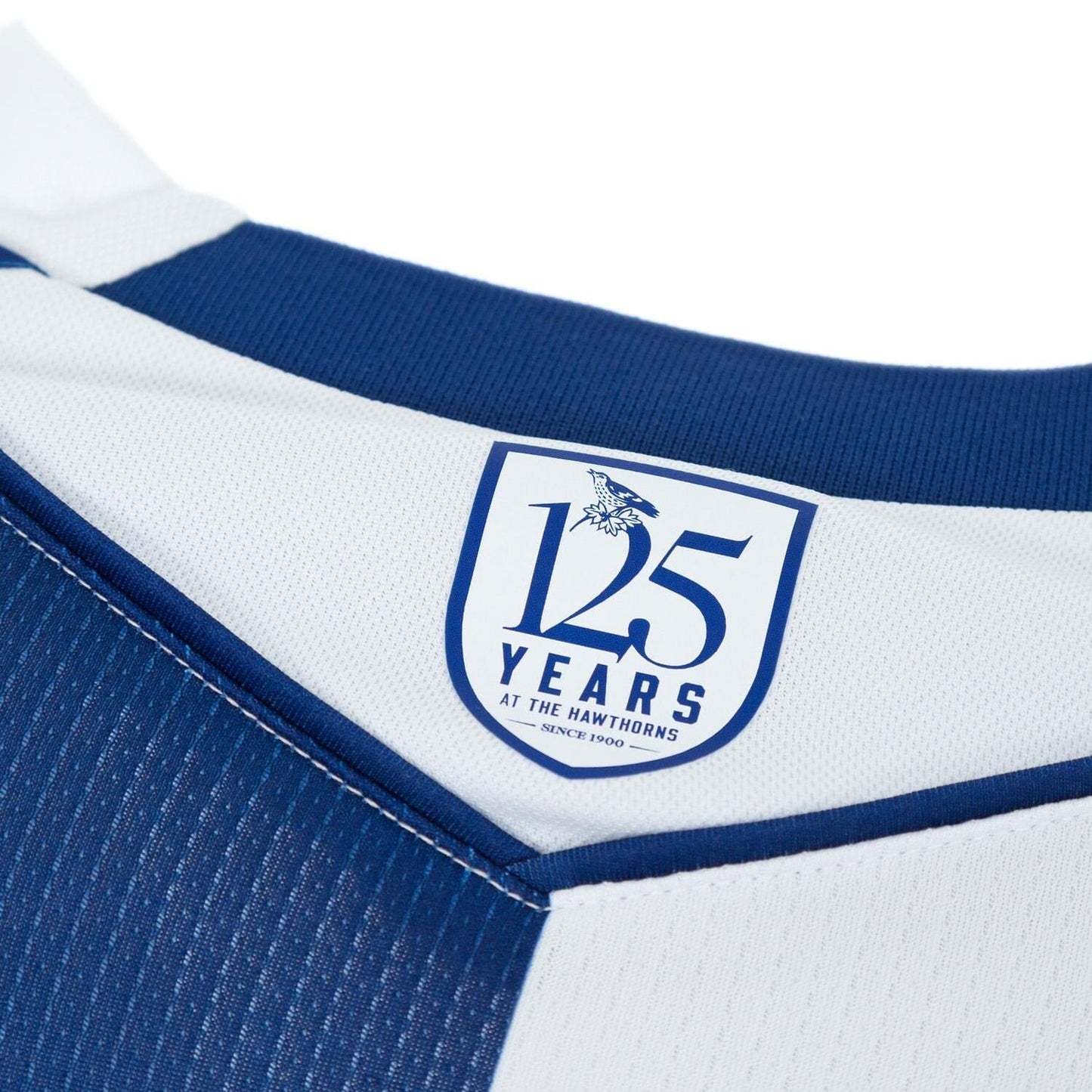 West Bromwich Albion 25/26 Home Jersey (600071800001)