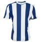 West Bromwich Albion 25/26 Home Jersey (600071800001)