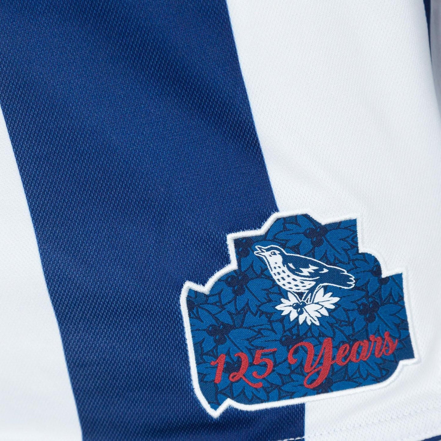West Bromwich Albion 25/26 Home Jersey (600071800001)