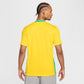 Brazil 2025 Home Jersey - Women's Team (FZ9011-718)
