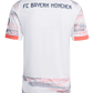 FC Bayern 25/26 Away Jersey (JJ2143)