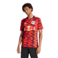 New York Red Bulls 2024 Legacy Jersey (HZ6201)