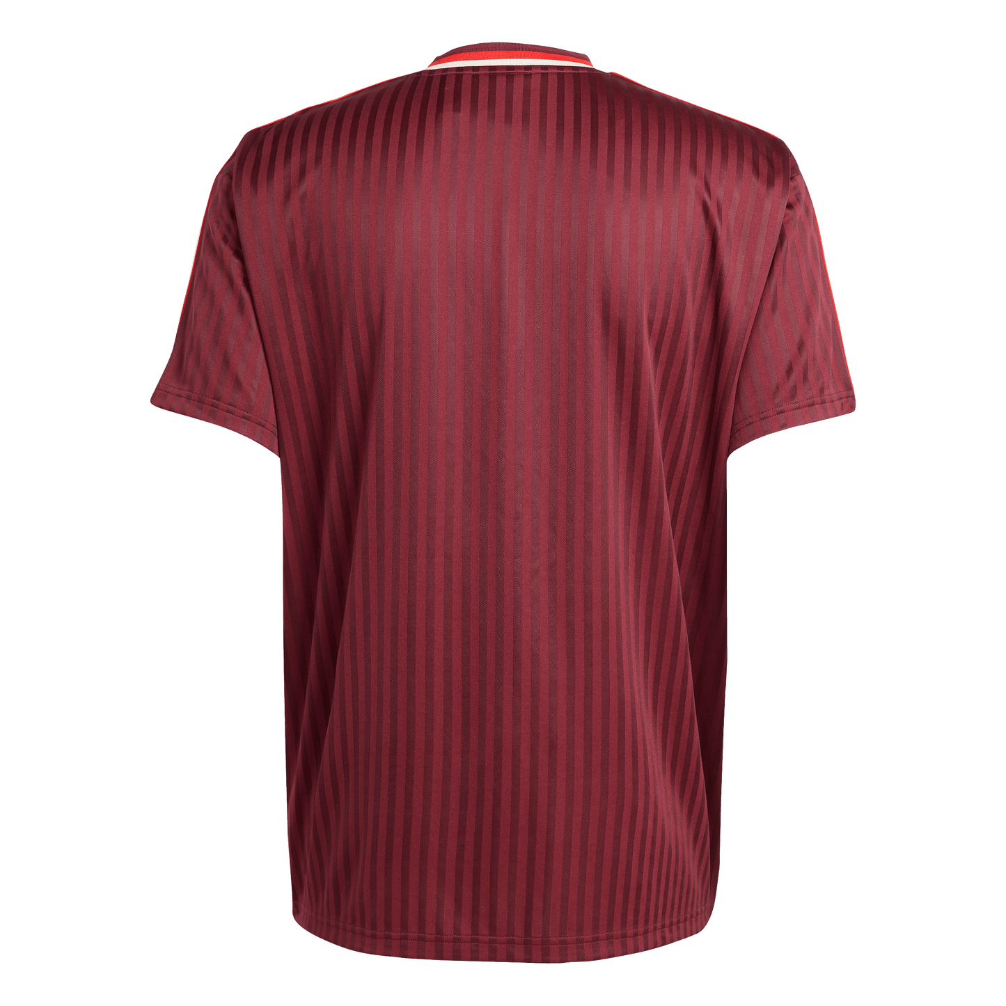 FC Bayern Terrace Icons Jersey (JF0595)