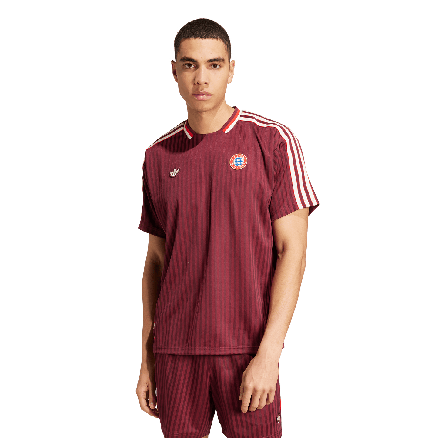 FC Bayern Terrace Icons Jersey (JF0595)