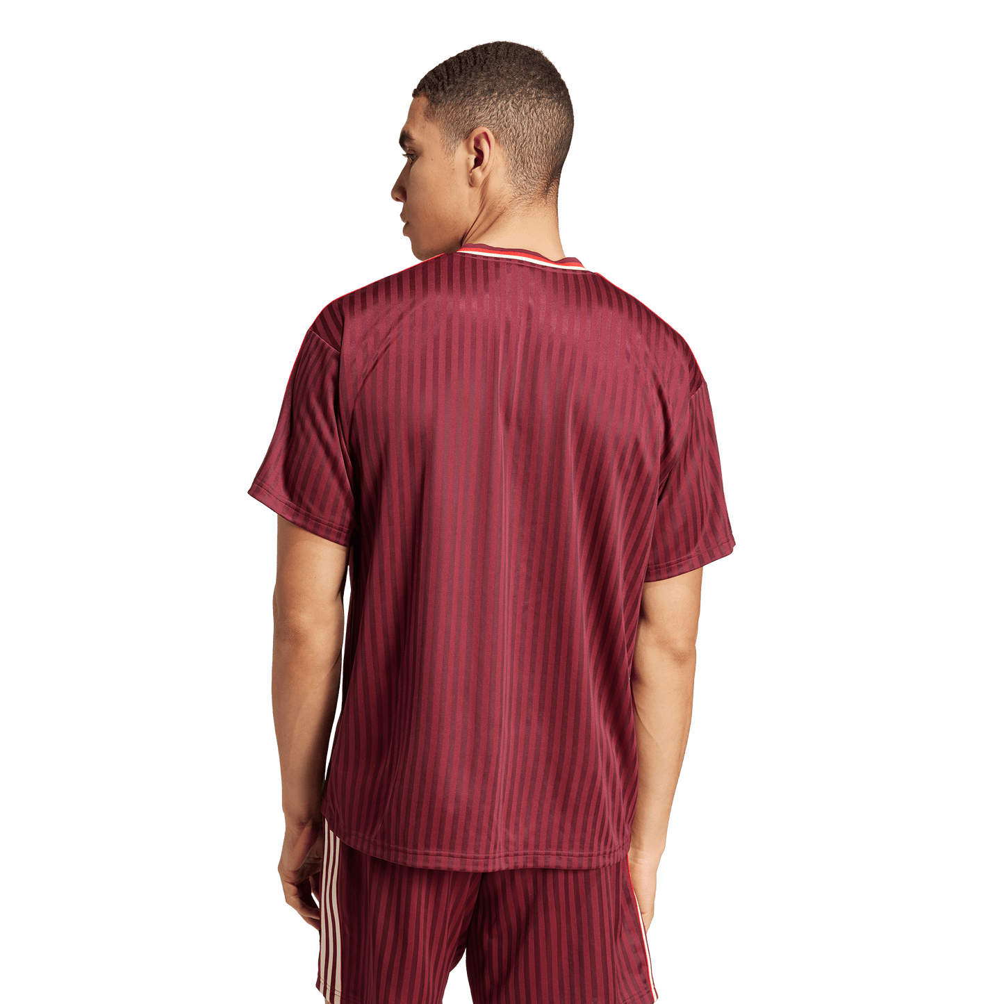 FC Bayern Terrace Icons Jersey (JF0595)