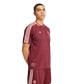 FC Bayern Terrace Icons Jersey (JF0595)