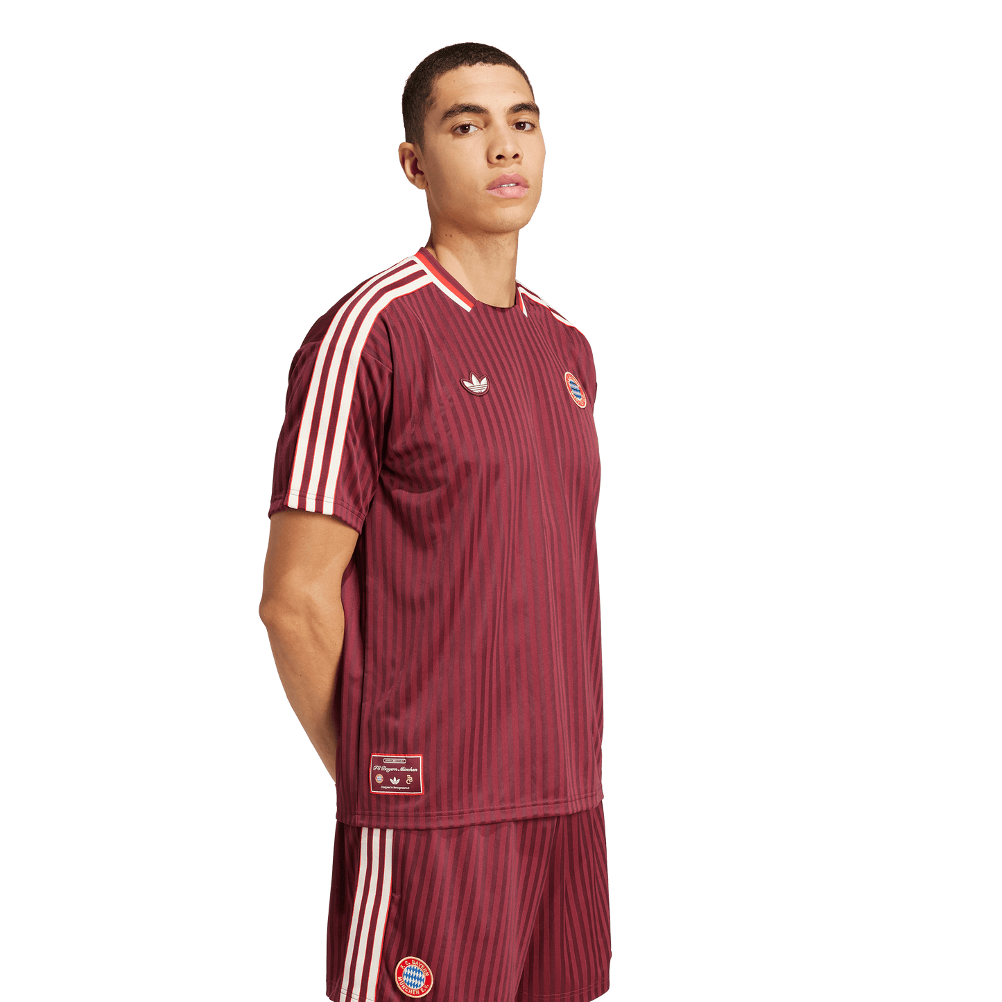 FC Bayern Terrace Icons Jersey (JF0595)