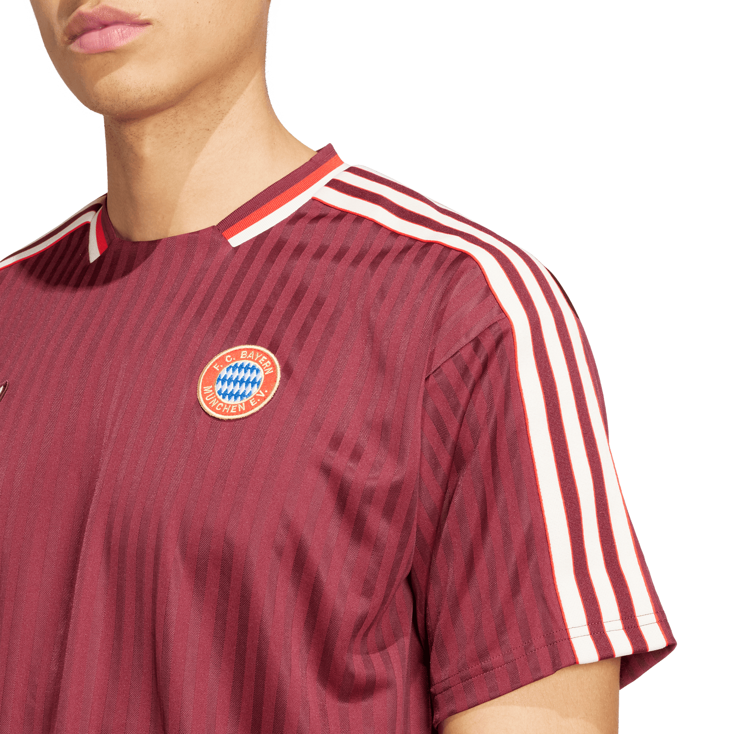 FC Bayern Terrace Icons Jersey (JF0595)