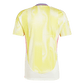 Juventus 24/25 Away Jersey (JH1357)