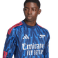 Arsenal 25/26 Long Sleeve Away Jersey (JI9525)