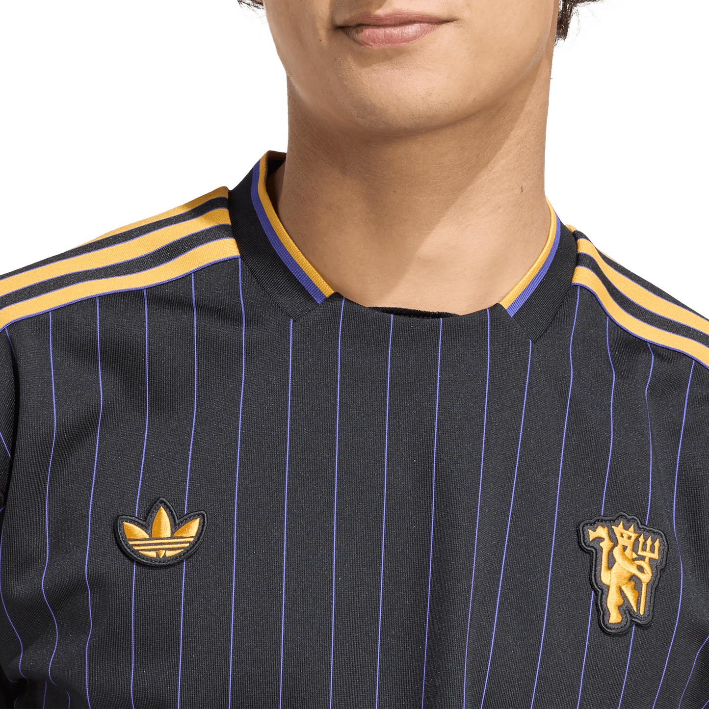 Manchester United Terrace Icons Jersey (JN2818)