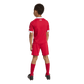 Liverpool FC 25/26 Home Mini Kit (JV6442)
