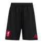 Liverpool FC 25/26 Away Mini Kit (JV6455)