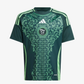 Algeria 24/25 away jersey