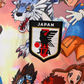 Japan Pokemon Special Edition Jersey 2025/2026