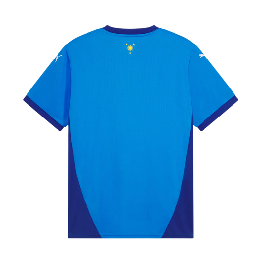 Philippines 2025/2026 Football Jersey
