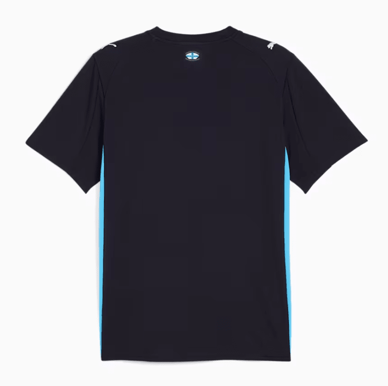 Olympique de Marseille 25/26 Away Jersey (77984402)
