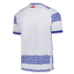 Reading FC 25/26 Home Jersey (400066720001)