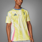 Juventus 2024/2025 Away Kit