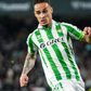 Real Betis 2024/2025 home kit