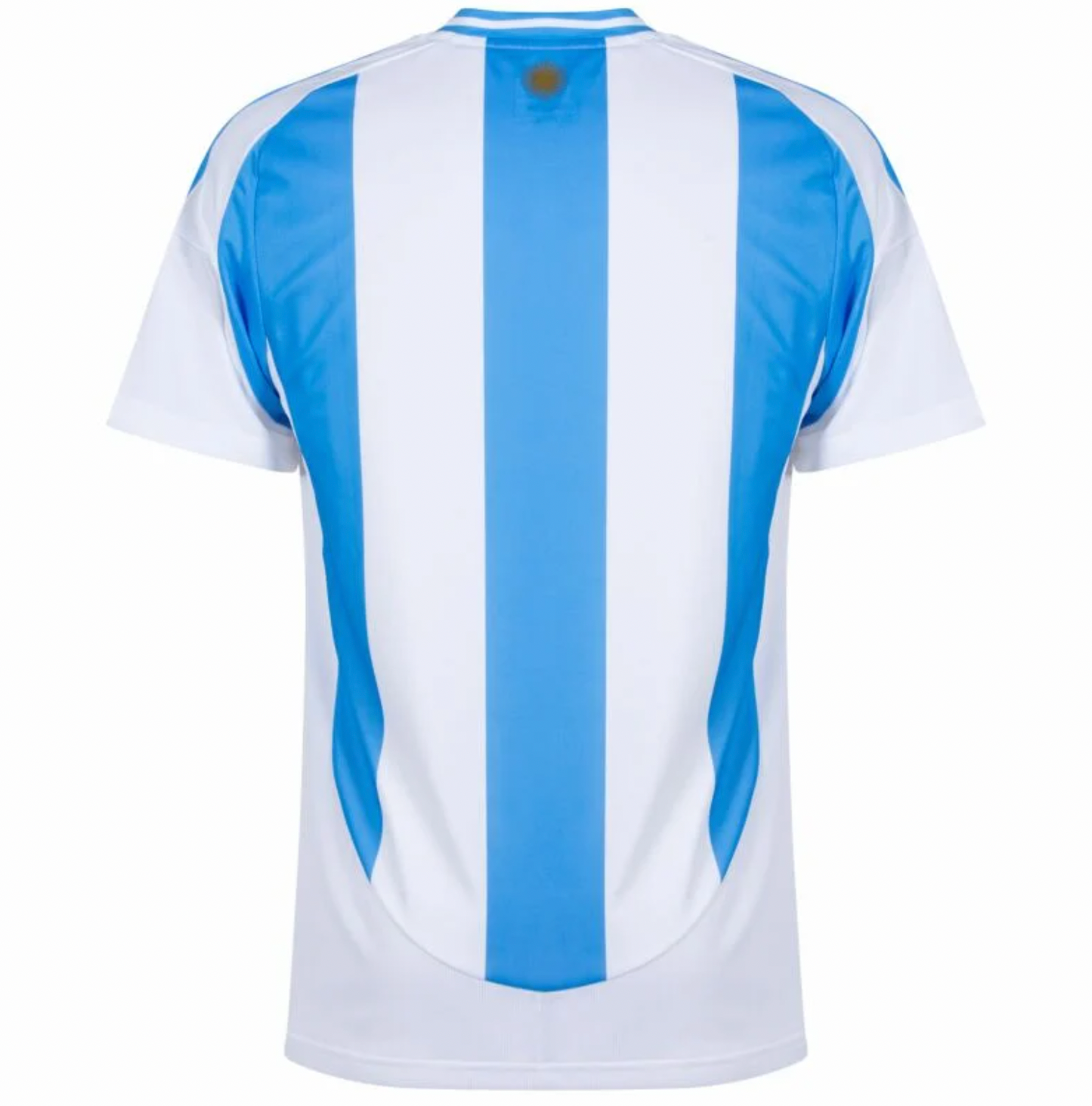 2024/2025 Argentina home kit